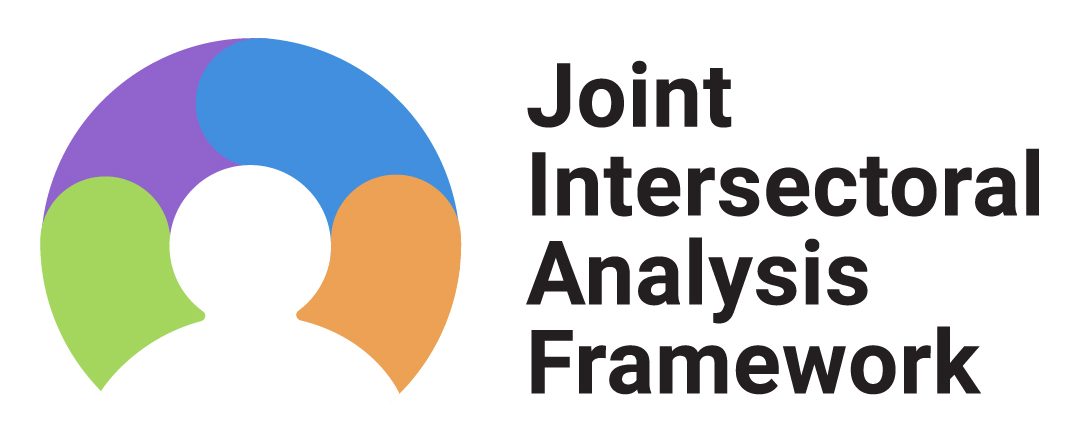Joint Intersectoral Analysis Framework